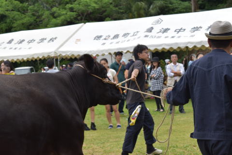 黒糖祭り