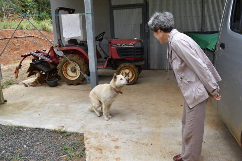 ゴロ―と母