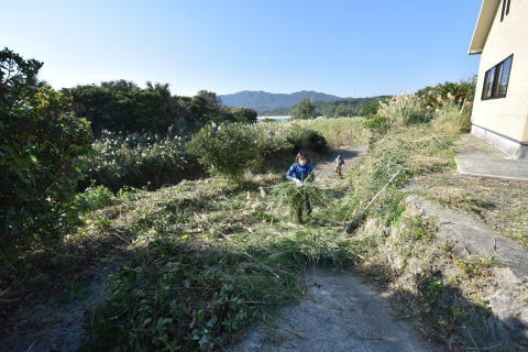 除草作業