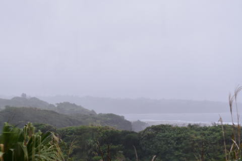 梅雨入り