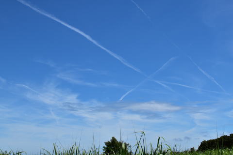 飛行機雲