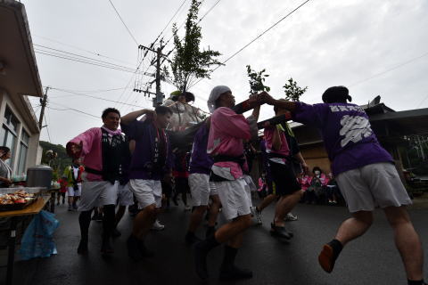 花徳豊年祈願祭　神輿